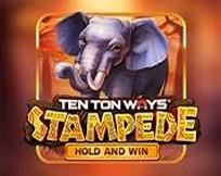 Ten Ton Ways Stampede